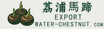 water-chestnut.com